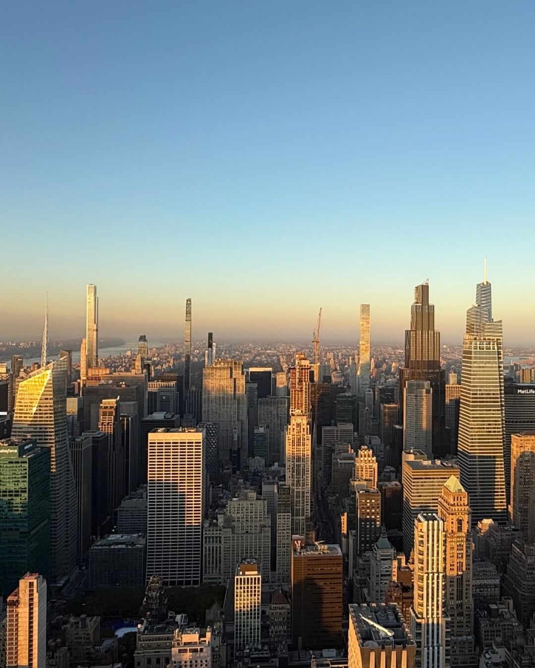 IZALEI in New York
